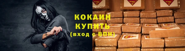 гашик Медногорск