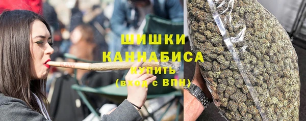гашик Медногорск
