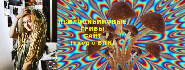 дмт Аркадак