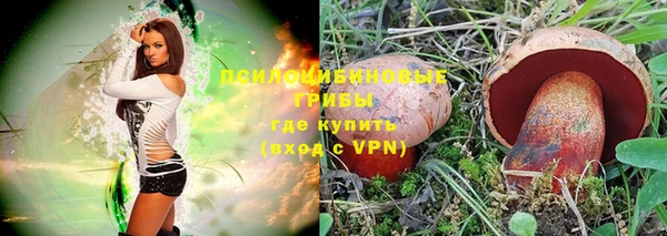 дмт Аркадак