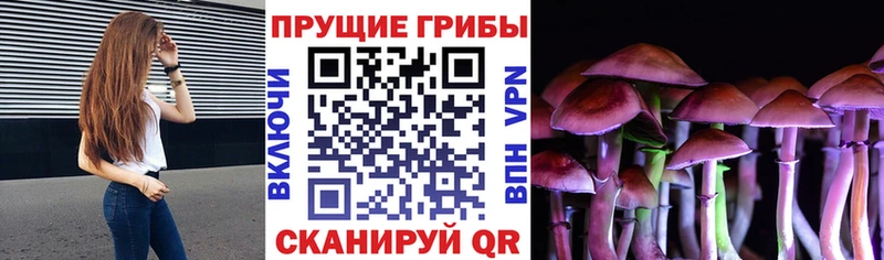 Галлюциногенные грибы мухоморы  Зубцов 